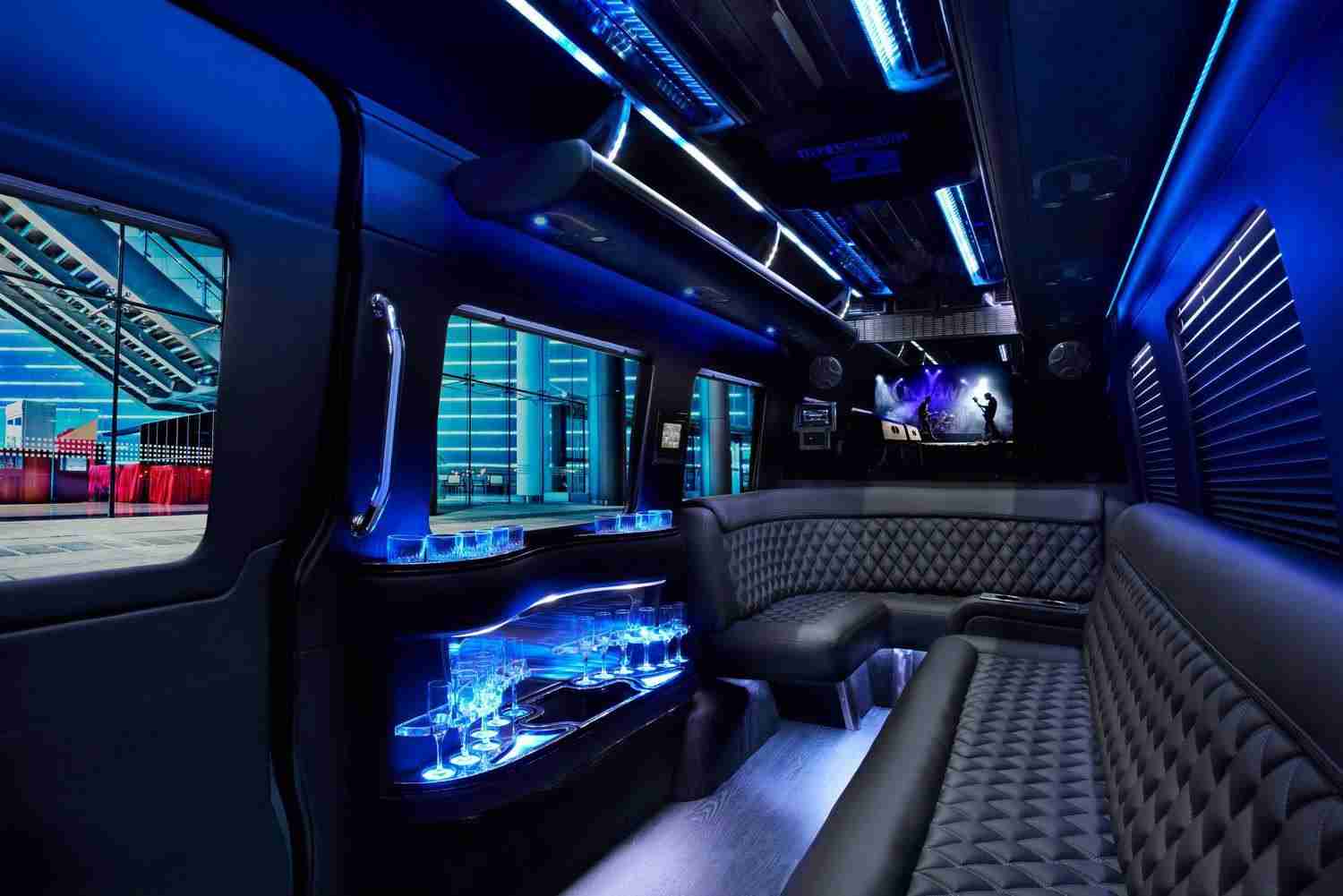 Sprinter Party Bus Services MN