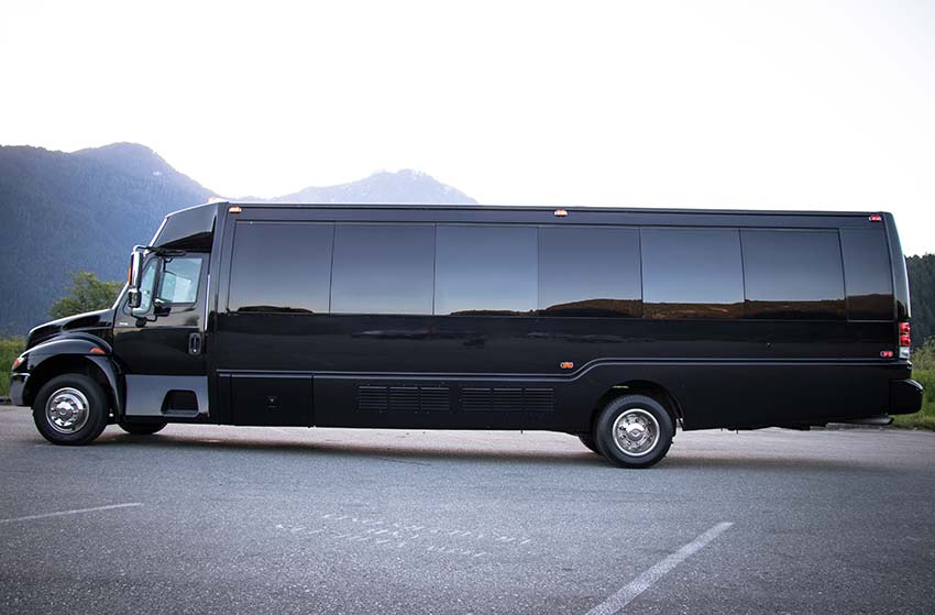 31 Passenger Party Bus Limo Coach